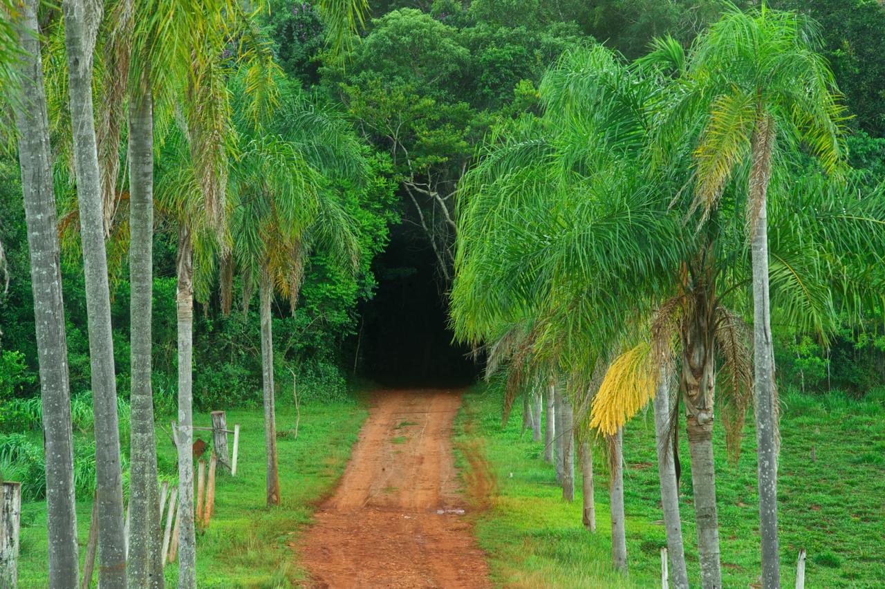 La Mision Mocona - Lodge De Selva Сальтос-дель-Мокона Экстерьер фото