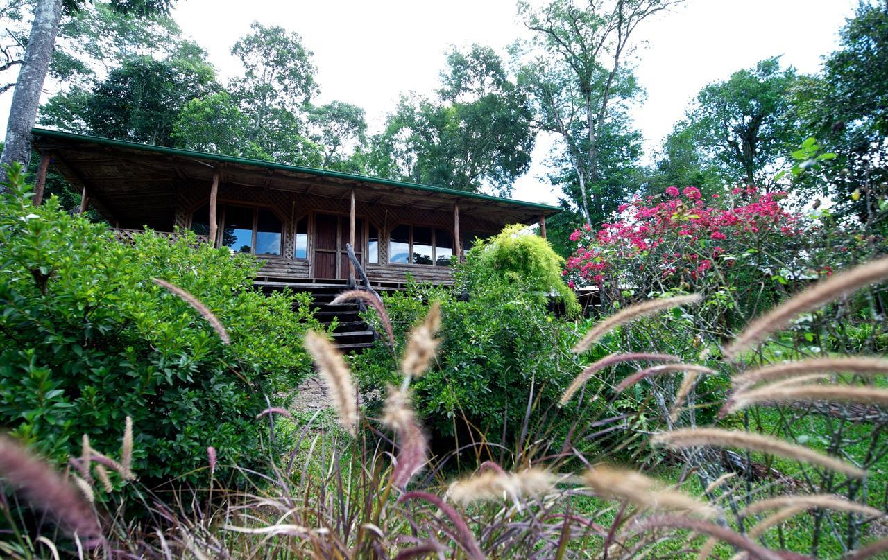 La Mision Mocona - Lodge De Selva Сальтос-дель-Мокона Номер фото