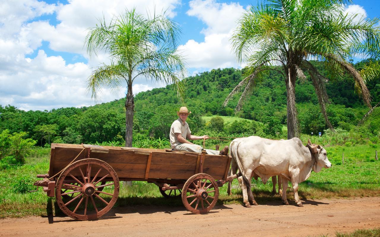 La Mision Mocona - Lodge De Selva Сальтос-дель-Мокона Экстерьер фото