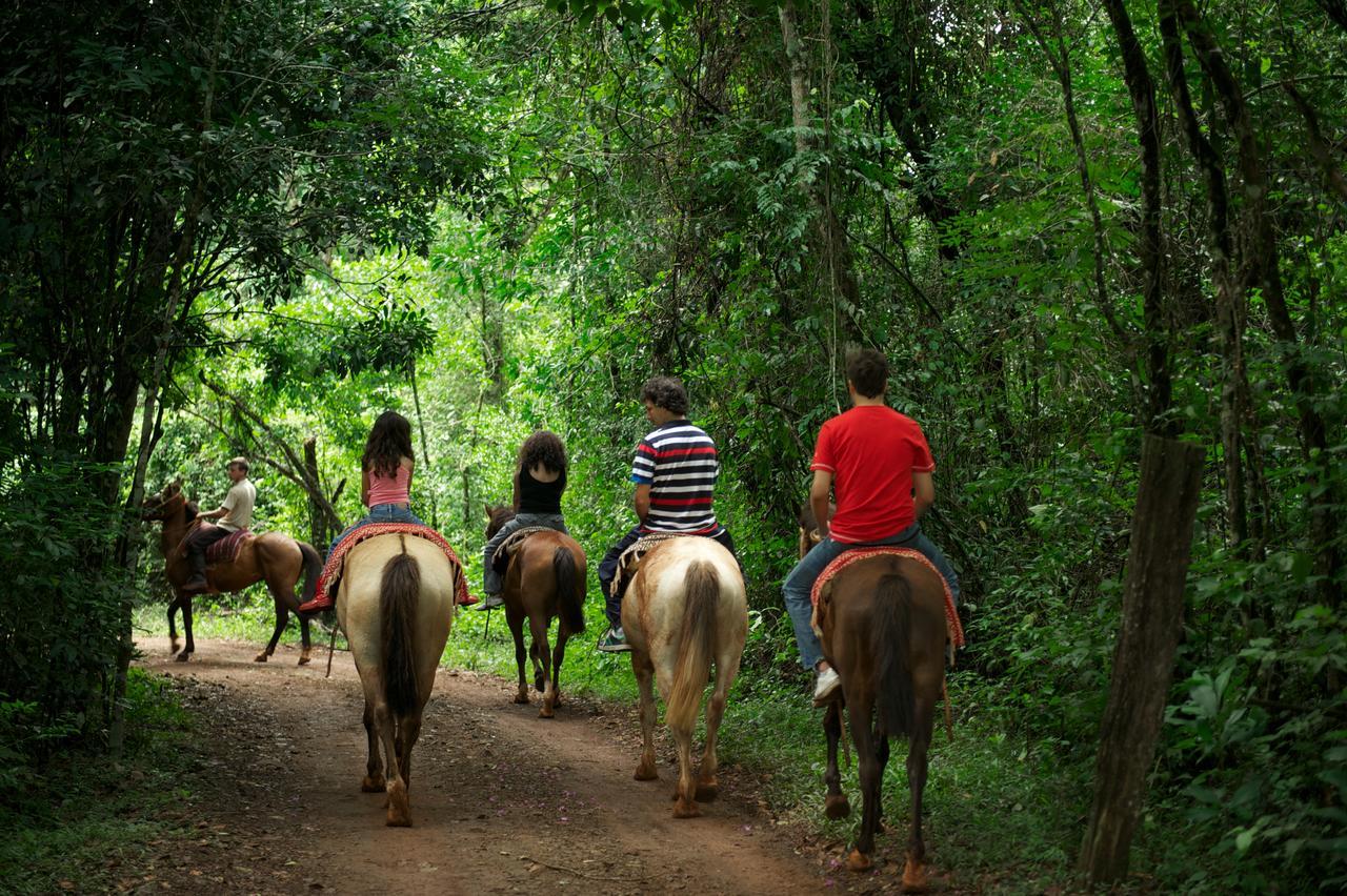 La Mision Mocona - Lodge De Selva Сальтос-дель-Мокона Экстерьер фото