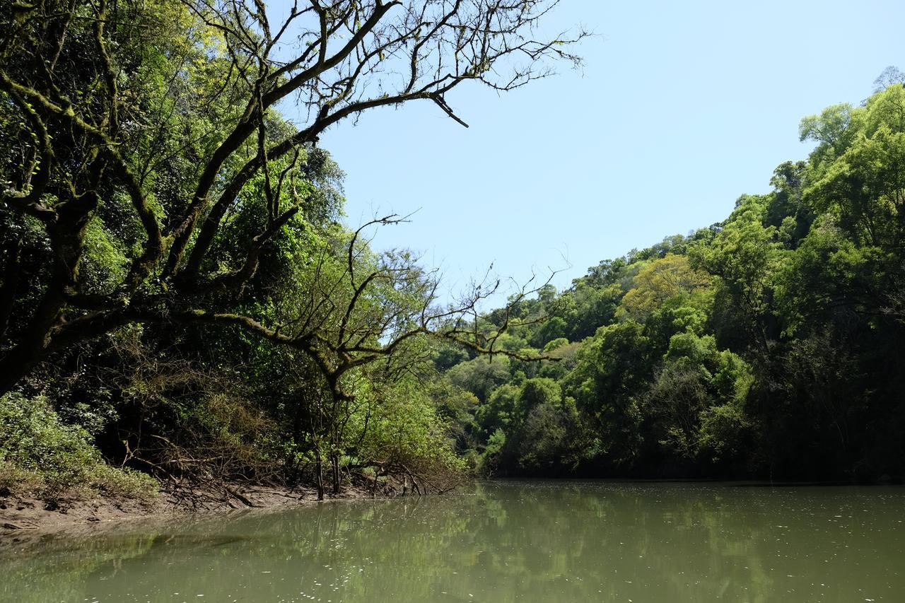 La Mision Mocona - Lodge De Selva Сальтос-дель-Мокона Экстерьер фото