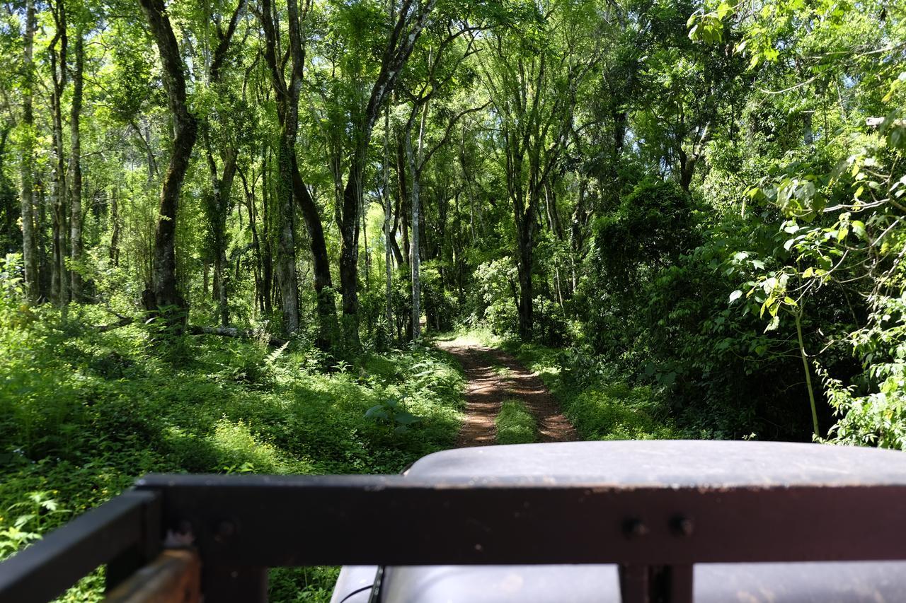 La Mision Mocona - Lodge De Selva Сальтос-дель-Мокона Экстерьер фото